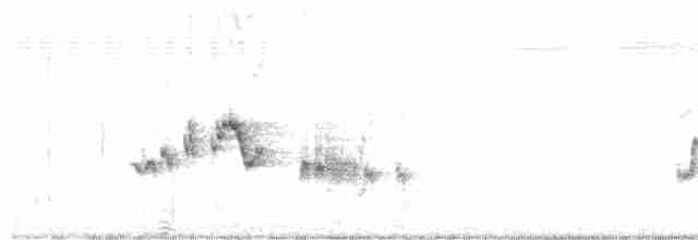 Heckensänger [galactotes-Gruppe] - ML164468961