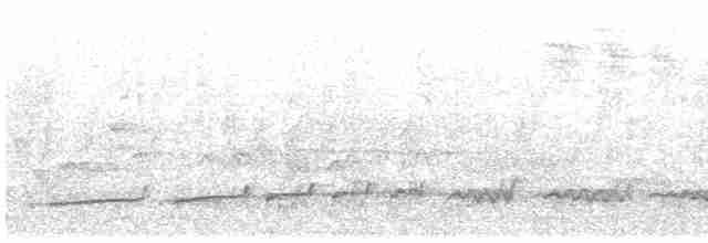 Eurasian Curlew - ML164471841