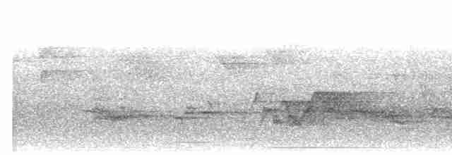 Cerulean Warbler - ML164488071