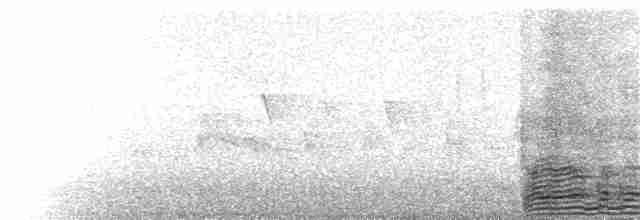 Snowy Egret - ML164491041