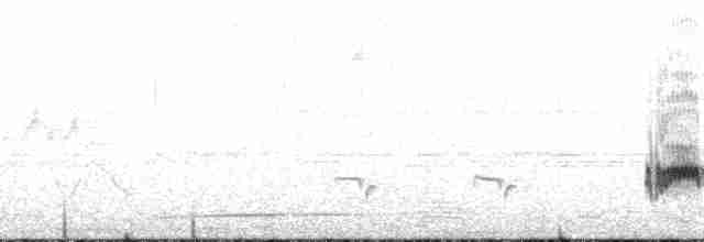 Long-tailed Thrush - ML164501