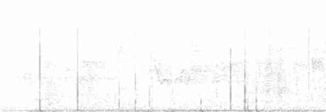 Pileated Woodpecker - ML164556211