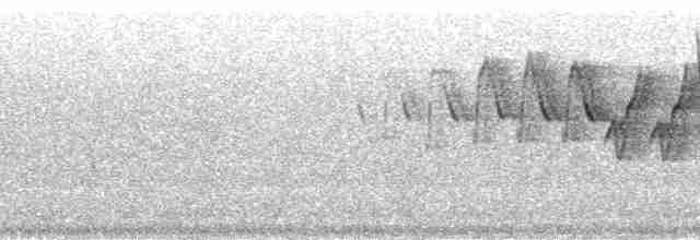 Черногорлая хвойница - ML164575