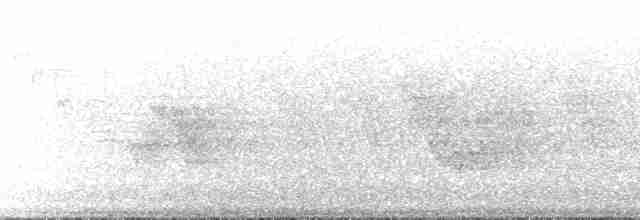 lesňáček modrohřbetý - ML164577