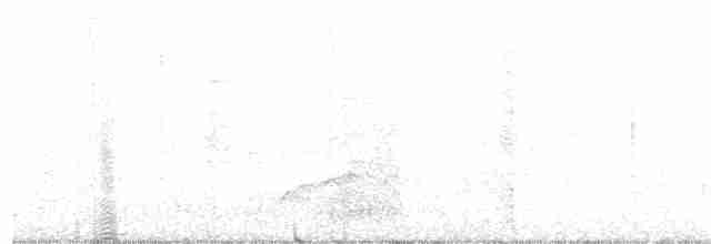 White-eyed Vireo - ML164614321