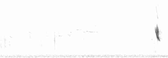 Рогатый жаворонок - ML164635381