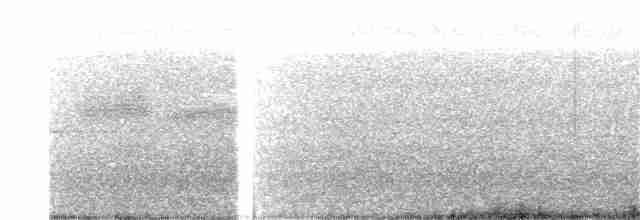 Bruant à couronne blanche (gambelii) - ML164655391