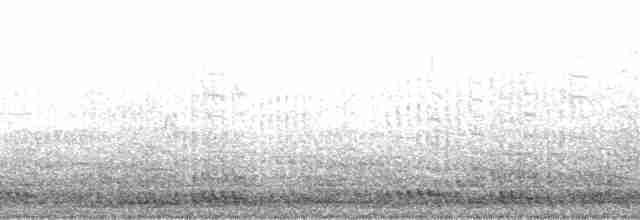 jeřáb kanadský (ssp. canadensis) - ML164682