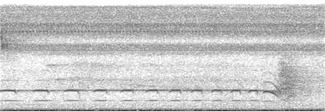 Южноамериканский лапчатоног - ML164721501