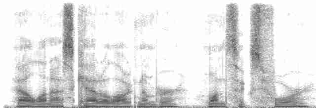 Голубок чубатий - ML164725