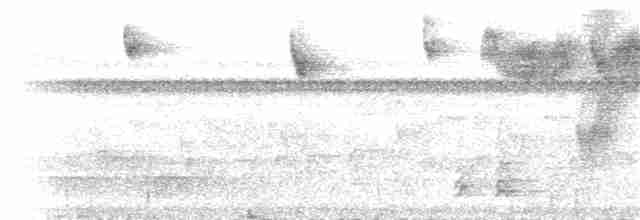 Соломонский карликовый попугайчик - ML164734471