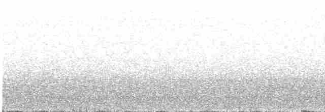 Puna Thistletail - ML164776381