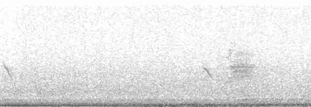 Indianerblässhuhn (rotschildig) - ML164838