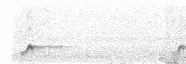 Eurasian Nightjar - ML164913251