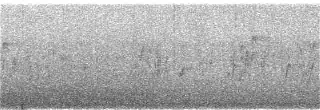 סנונית רפתות - ML164927351