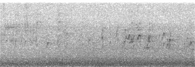 סנונית רפתות - ML164927411