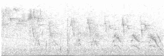 Woodchat Shrike - ML164940051