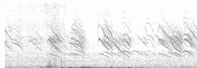 Hirondelle à front blanc (groupe pyrrhonota) - ML164947011