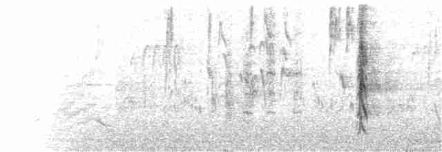 Cuitlacoche Californiano - ML164949011