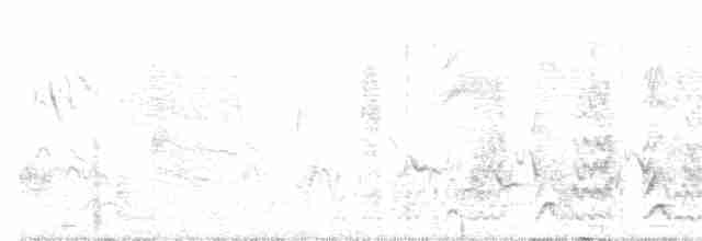 Дятлик акацієвий (підвид bennettii) - ML164977711