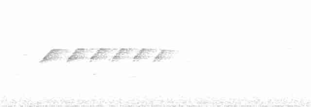 Тиран-карлик амазонійський - ML165006581