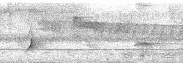 Boz Başlı Sinekkapan - ML165043