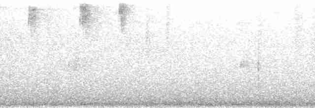 Щетинкохвіст гірський - ML165095