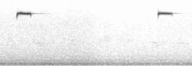 Colibri cyanote (cabanidis) - ML165097