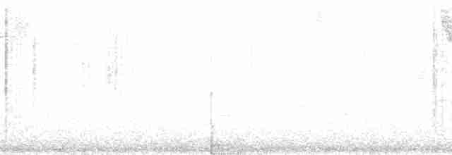 Black-cheeked Warbler - ML165099