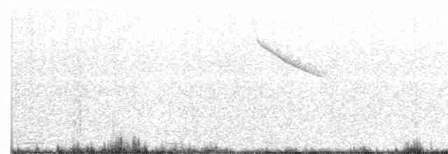 White-crowned Penduline-Tit - ML165126471