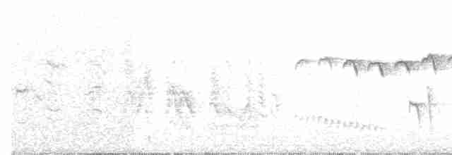 Eastern Olivaceous Warbler - ML165126611