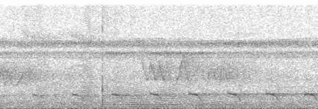 Surukua Trogonu (surrucura) - ML165129