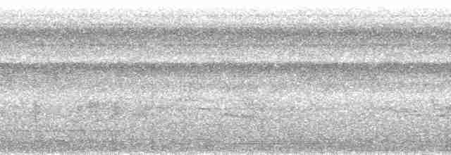 Kabarık Gerdanlı Ardıçesmeri - ML165182