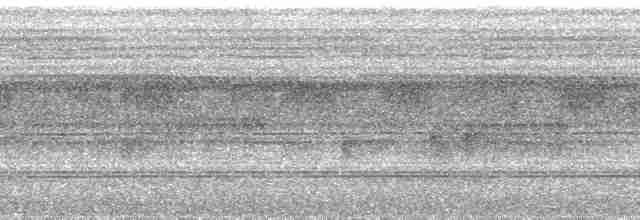 角鴞屬 - ML165187