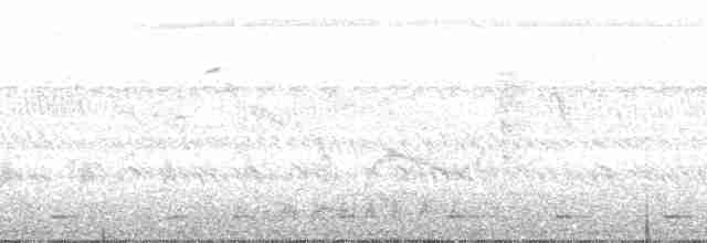 Желтобрюхий гонолек - ML165201