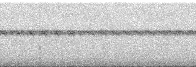 Чернокрылая иволга - ML165205