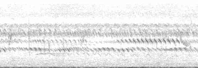 Bart-Bülbülgrasmücke - ML165206