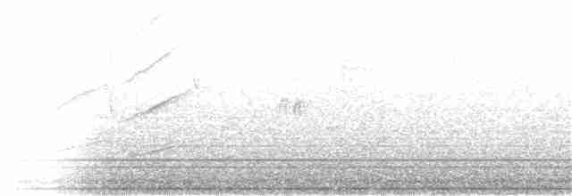 Crested Bobwhite - ML165209231