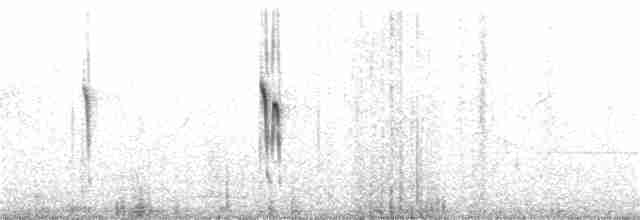 白喉文鳥 - ML165228341