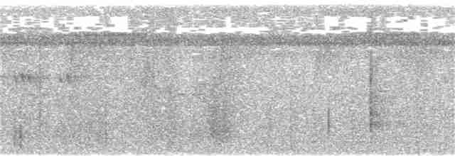 Short-tailed Babbler - ML165234491