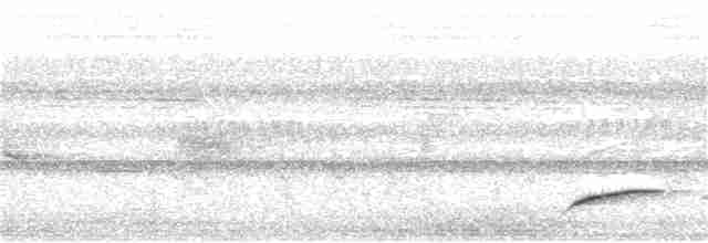 Краснохвостый шелкопёр - ML165234691