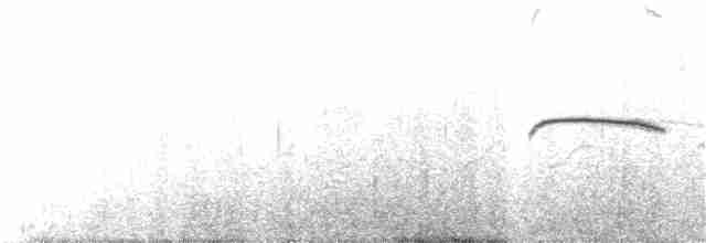 Tepeli Büyük Sumru - ML165235171