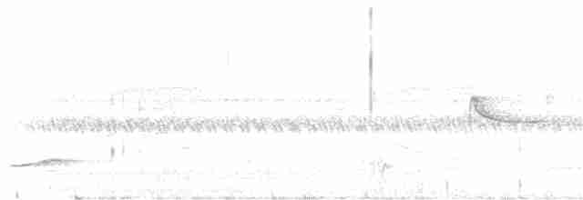 Тимельовець рудий - ML165261621