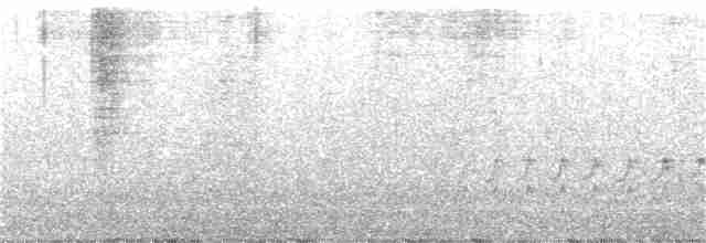 Берингийский песочник - ML165264461