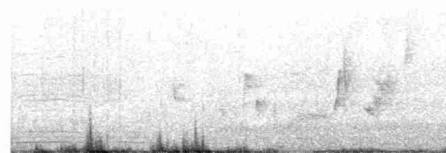 White-eyed Vireo - ML165267781
