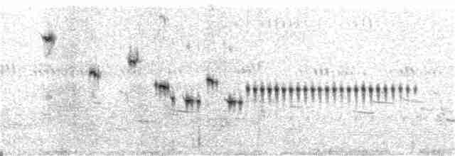 Baird Serçesi - ML165273601