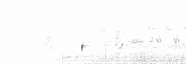 Gri Boğazlı Sinekkapan - ML165284901