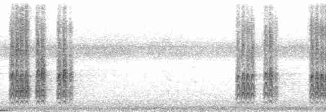 Гіла чорновола [група formicivorus] - ML165302