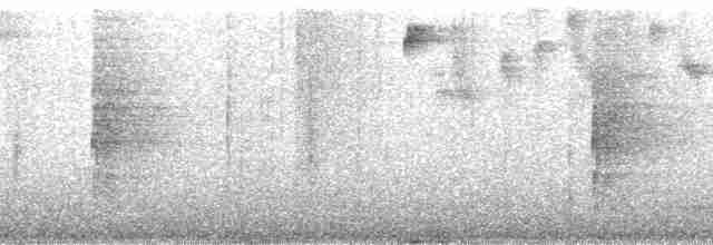 Black-cheeked Warbler - ML165304