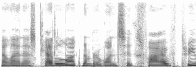 Troglodyte à poitrine grise (groupe mexicana) - ML165316
